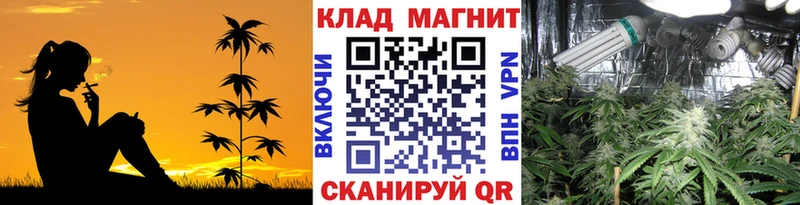 Купить Электрогорск Cocaine  ГАШ  APVP  Канабис 