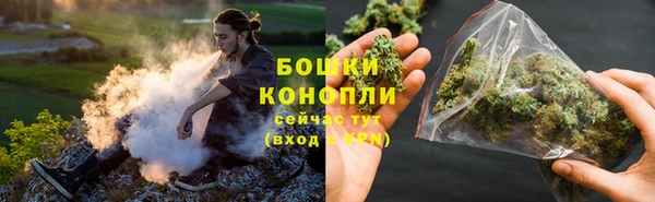 твердый Вяземский