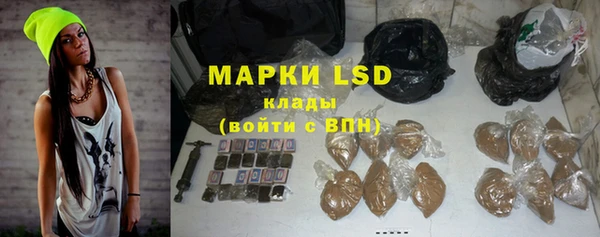 ПСИЛОЦИБИНОВЫЕ ГРИБЫ Вязьма