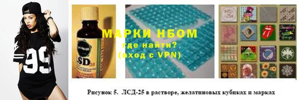 твердый Вяземский