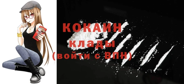 твердый Вяземский