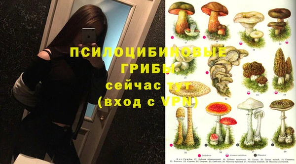 ПСИЛОЦИБИНОВЫЕ ГРИБЫ Вязьма