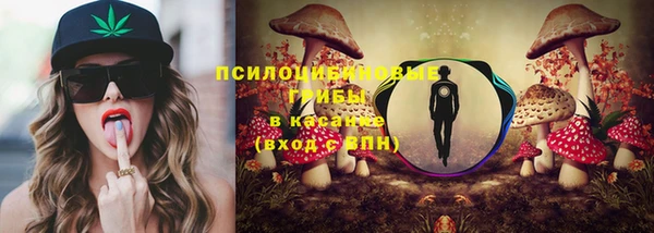 твердый Вяземский