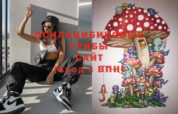 твердый Вяземский