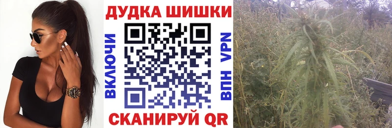 Каннабис конопля Электрогорск